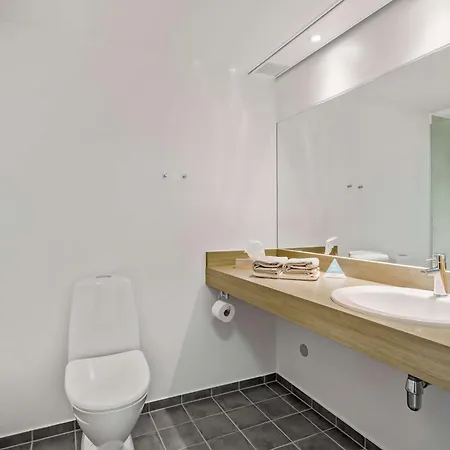 卡姆维尔克桑德堡酒店 4* Sønderborg